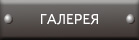 Фото, видео знаменитых спортсменов, оборудование атлетического клуба